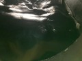凱迪河北寶晟施工案例